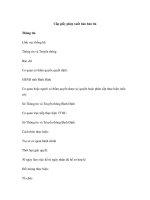 Cấp giấy phép xuất bản bản tin docx