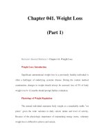 Chapter 041. Weight Loss (Part 1) doc