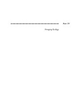 Stephens & Foraging - Behavior and Ecology - Chapter 11 pot