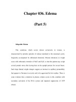 Chapter 036. Edema (Part 5) ppsx