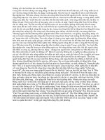 Nhưng net van hoa nam bo