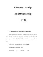 Viêm não - tủy cấp (hội chứng não cấp) (Kỳ 2) potx
