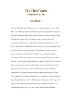 The Third Violet STEPHEN CRANE CHAPTER 4 pot