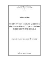 đánh giá các yếu tố ảnh hưởng đến chất lượng cây cafe trồng trên đất đỏ ở gia lai