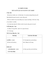 Giáo án TNXH lớp 3 - ÔN TẬP CON NGƯỜI VÀ SỨC KHOẺ potx