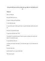 Giải quyết khiếu nại các lĩnh vực khác theo quy định của Luật Khiếu nại, tố cáo docx