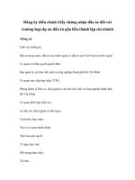 Đăng ký điều chỉnh Giấy chứng nhận đầu tư đối với trường hợp dự án đầu tư gắn liền thành lập chi nhánh pot