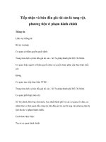 Tiếp nhận và bán đấu giá tài sản là tang vật, phương tiện vi phạm hành chính ppsx