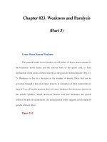 Chapter 023. Weakness and Paralysis (Part 3) ppt