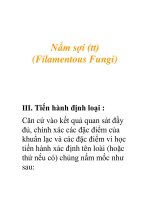 Nấm sợi (tt) (Filamentous Fungi) pptx