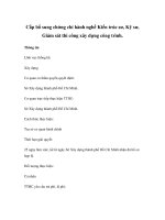 Cấp bổ sung chứng chỉ hành nghề Kiến trúc sư, Kỹ sư, Giám sát thi công xây dựng công trình ppsx