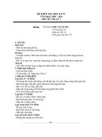 ĐỀ KTHK II. MT7. BỘ GD-ĐT.
