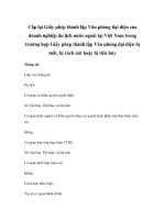 Cấp lại Giấy phép thành lập Văn phòng đại diện của doanh nghiệp du lịch nước ngoài tại Việt Nam trong trường hợp Giấy phép thành lập Văn phòng đại diện bị mất, bị rách nát hoặc bị tiêu hủy docx