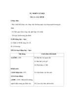 Giáo án TNXH lớp 3 - GIA ĐÌNH ppt