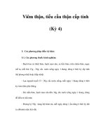 Viêm thận, tiểu cầu thận cấp tính (Kỳ 4) ppt