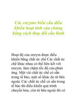 Các enzyme biến cấu điều khiển hoạt tính của chúng bằng cách thay đổi cấu hình pps