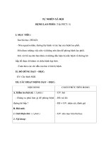 TỰ NHIÊN XÃ HỘI - BỆNH LAO PHỔI ppsx