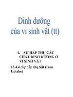dinh dưỡng của vi sinh vật (tt) pptx