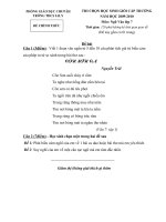 Đề thi HSG cấp trường - Lớp 7