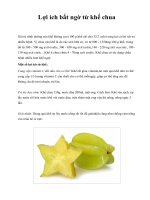 Lợi ích bất ngờ từ khế chua docx