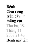 Bệnh đốm rong trên cây măng cụt pptx