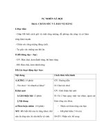 Tự nhiên xã hội lớp 1 - CHĂM SÓC VÀ BẢO VỆ RĂNG ppt