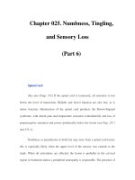 Chapter 025. Numbness, Tingling, and Sensory Loss (Part 6) pot