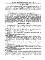 SKKN gd HS cá biệt giải A huyện