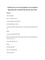 Chi hỗ trợ cho trẻ em bị xâm phạm và trẻ em phải lao động nặng nhọc trong điều kiện độc hại, nguy hiểm pps