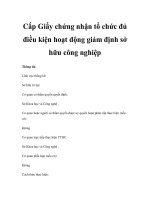 Cấp Giấy chứng nhận tổ chức đủ điều kiện hoạt động giám định sở hữu công nghiệp doc