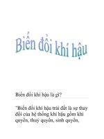 Biến đổi khí hậu là gì? pps