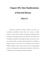 Chapter 054. Skin Manifestations of Internal Disease (Part 3) pot