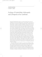 The Ecology of the Cambrian Radiation - Andrey Zhuravlev - Chapter 18 ppt