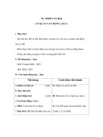 Giáo án TNXH lớp 3 - CƠ QUAN VẬN ĐỘNG ( tiết 1) doc