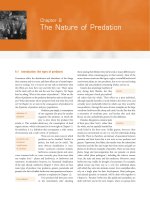 From Individuals to Ecosystems 4th Edition - Chapter 9 potx