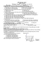 Đề thi HKII_ Vật Lý 6