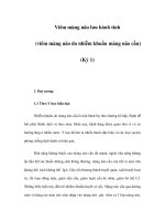 Viêm màng não lưu hành tính (viêm màng não do nhiễm khuẩn màng não cầu) (Kỳ 1) ppt