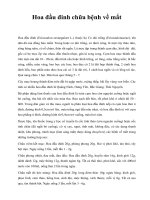 Hoa đầu đinh chữa bệnh về mắt pptx