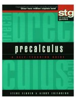 precalculus a self teaching guide