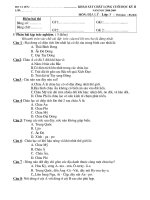 BO DE KEM TRA KHOA SU DIA CKII