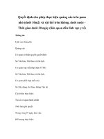 Quyết định cho phép thực hiện quảng cáo trên pano nhỏ (dưới 10m2) và vật thể trên không, dưới nước Thời gian dưới 30 ngày (liên quan đến lĩnh vực y tế) ppt