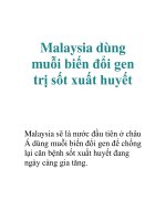 Malaysia dùng muỗi biến đổi gen trị sốt xuất huyết pps
