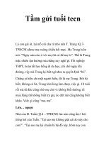 Tầm gửi tuổi teen ppt