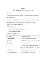 Tự nhiên xã hội lớp 1 - THỂ DỤC RÈN LUYỆN TƯ THẾ CƠ BẢN pps