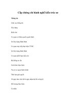 Cấp chứng chỉ hành nghề kiến trúc sư, pptx