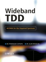 wideband tdd wcdma for the unpaired spectrum