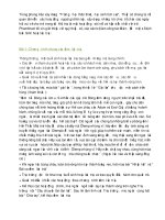 Chương trình đêm lửa trại