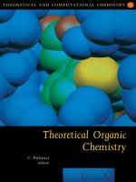 theoretical organic chemistry