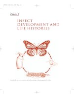 The Insects - Outline of Entomology 3th Edition - Chapter 6 pptx