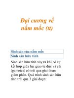 Đại cương về nấm mốc (tt) pps